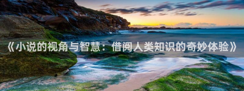 海棠小说sm